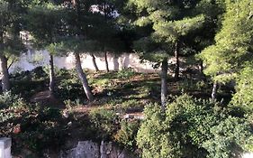 L'Appartement - Jardin Secret