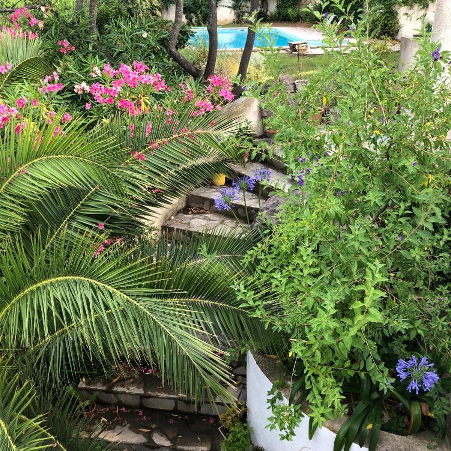 L'Appartement - Jardin Secret Marseille Exterior photo