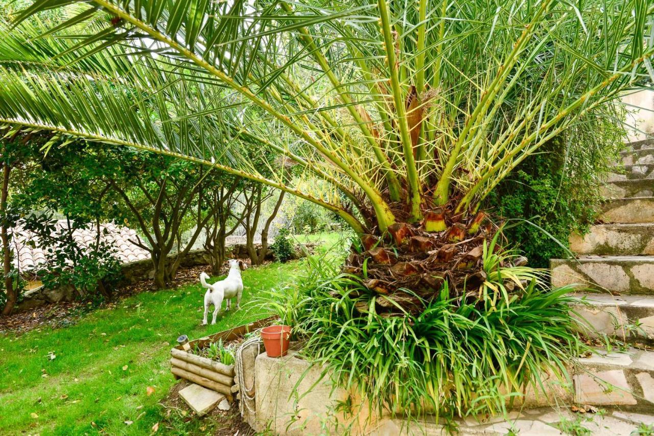 L'Appartement - Jardin Secret Marseille Exterior photo